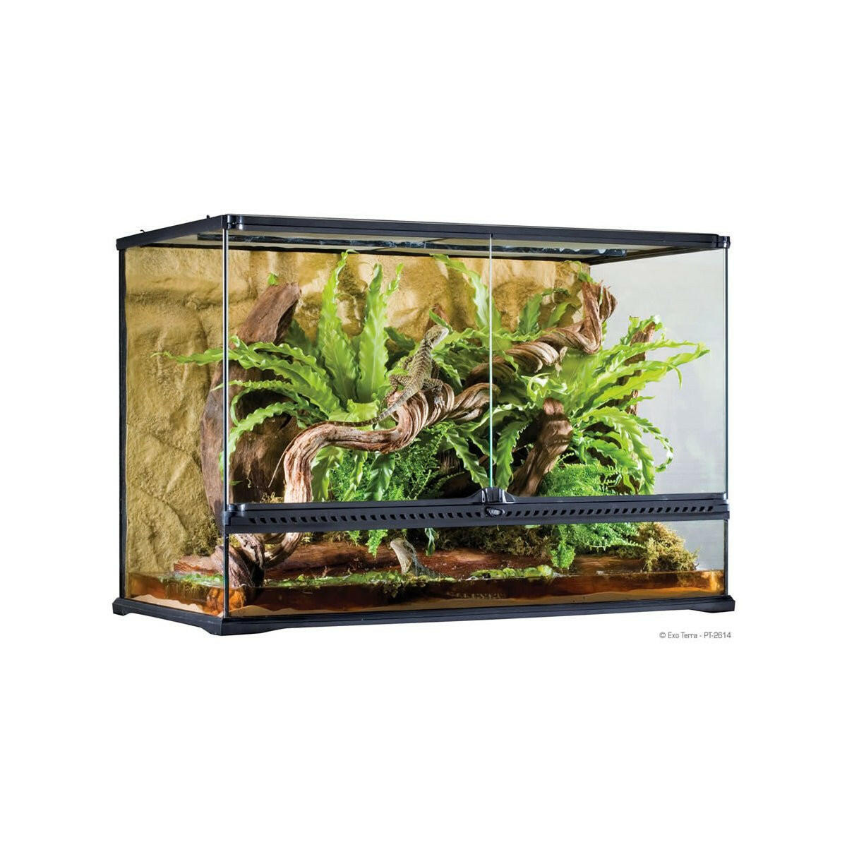 Exo Terra Glass Terrarium Large Tall - 90x45x60cm