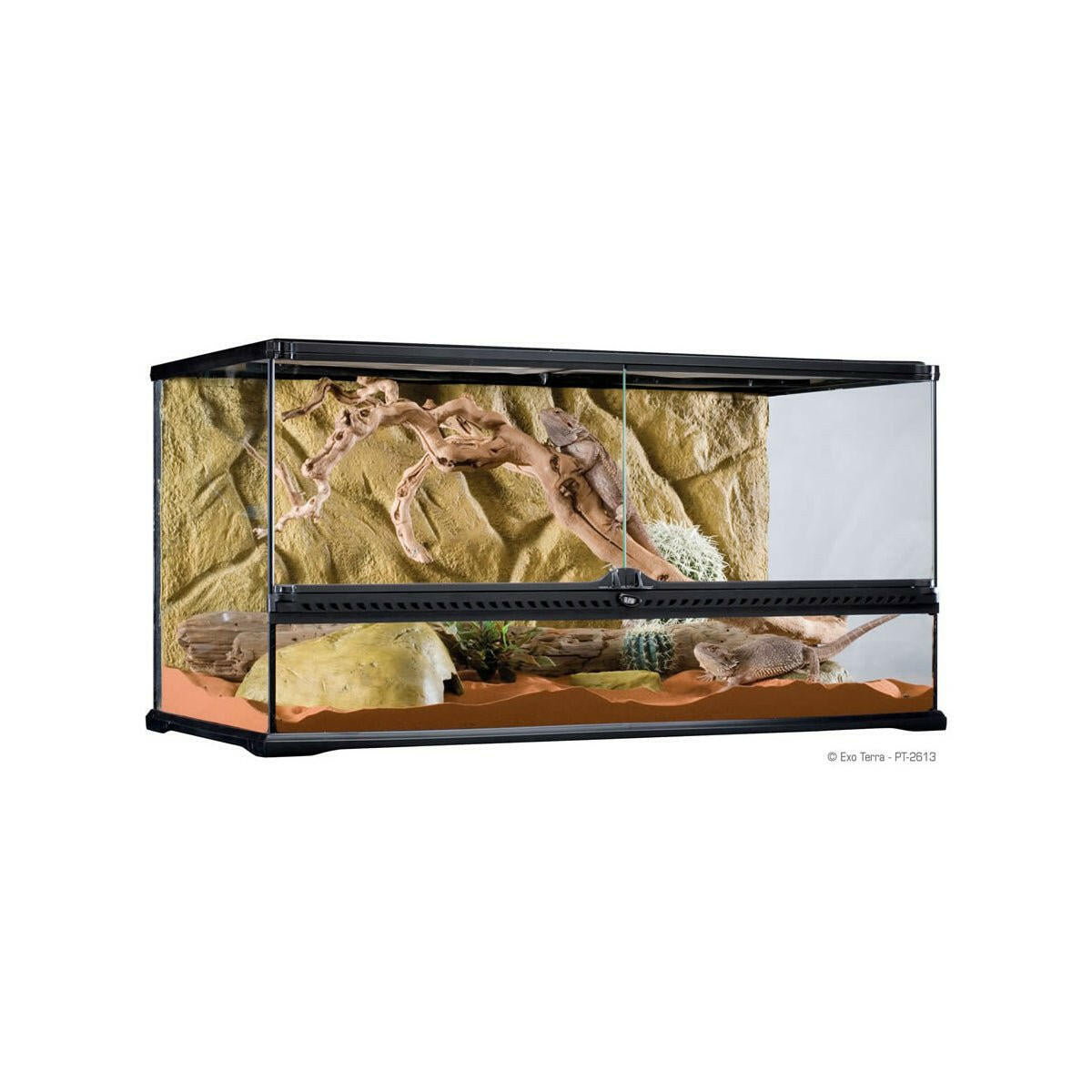 Exo Terra Glass Terrarium Large/Wide 90 x 45 x 45cm - Charterhouse Aquatics