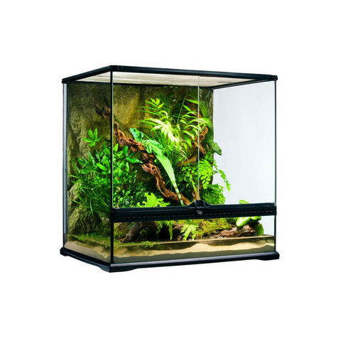 Exo Terra Glass Terrarium Medium Tall - 60x45x60cm - Charterhouse Aquatics