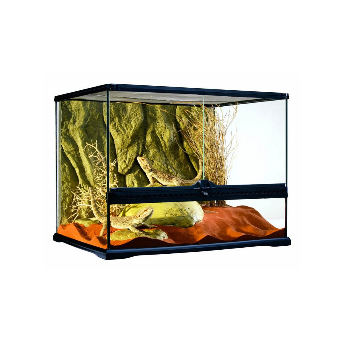 Exo Terra Glass Terrarium Medium Wide - 60x45x45cm - Charterhouse Aquatics
