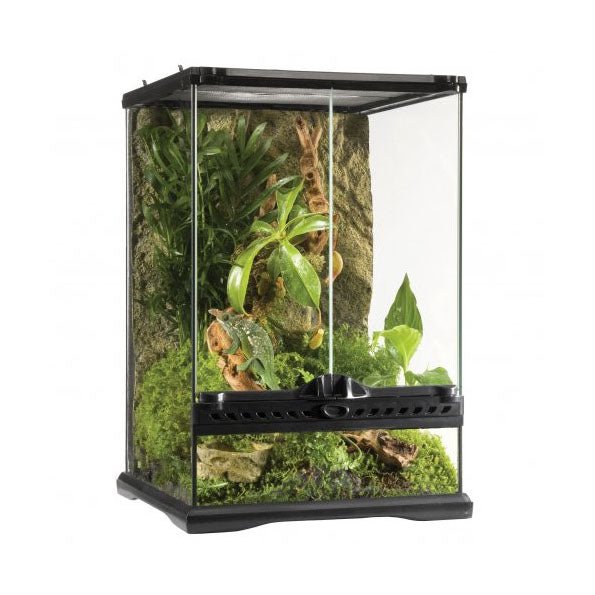 Exo Terra Glass Terrarium Mini Tall - 30x30x45cm - Charterhouse Aquatics