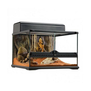 Exo Terra Glass Terrarium Small Low - 45x45x30cm - Charterhouse Aquatics