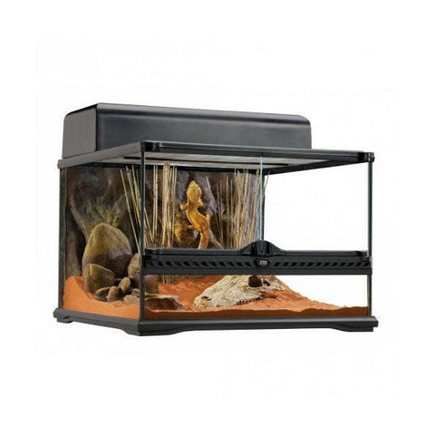 Exo Terra Glass Terrarium Small Low - 45x45x30cm - Charterhouse Aquatics