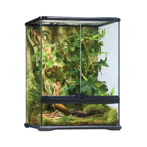 Exo Terra Glass Terrarium Small Tall - 45x45x60cm - Charterhouse Aquatics