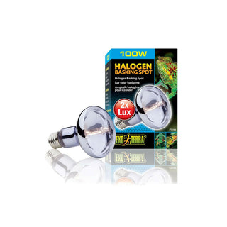 Exo Terra Halogen Spot 100W - Charterhouse Aquatics