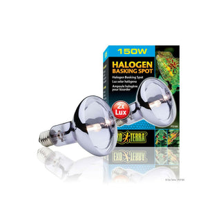 Exo Terra Halogen Spot 150W - Charterhouse Aquatics