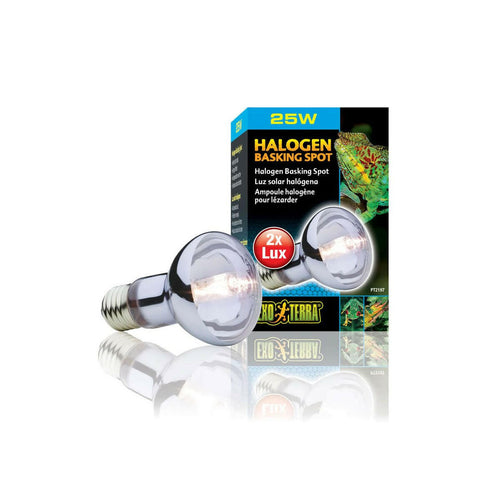 Exo Terra Halogen Spot 25W - Charterhouse Aquatics