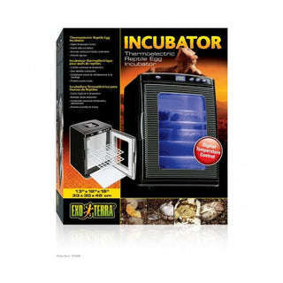 Exo Terra Incubator - Charterhouse Aquatics