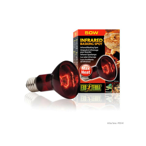 Exo Terra Infrared Basking Spot Lamp 75W - Charterhouse Aquatics