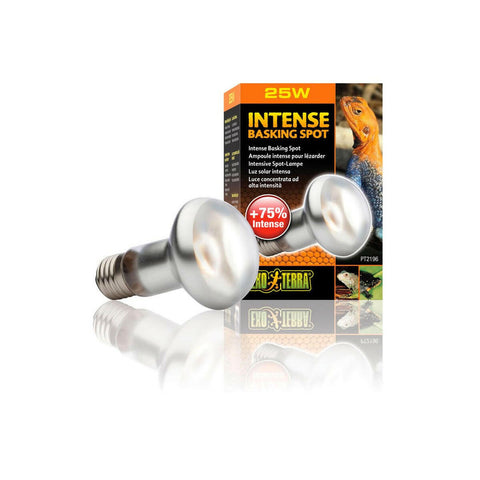Exo Terra Intense Basking Spot 25W - Charterhouse Aquatics