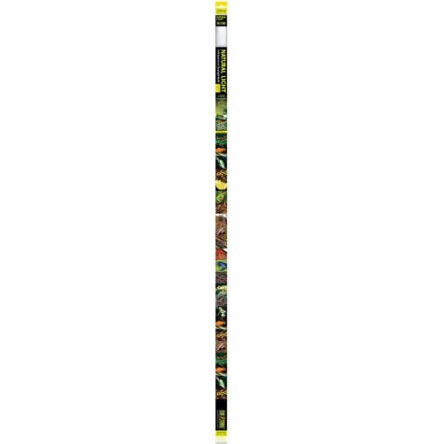 Exo Terra Natural Light Tube 36W 48in - Charterhouse Aquatics