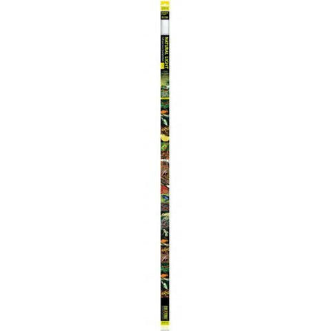 Exo Terra Natural Light Tube 36W 48in - Charterhouse Aquatics