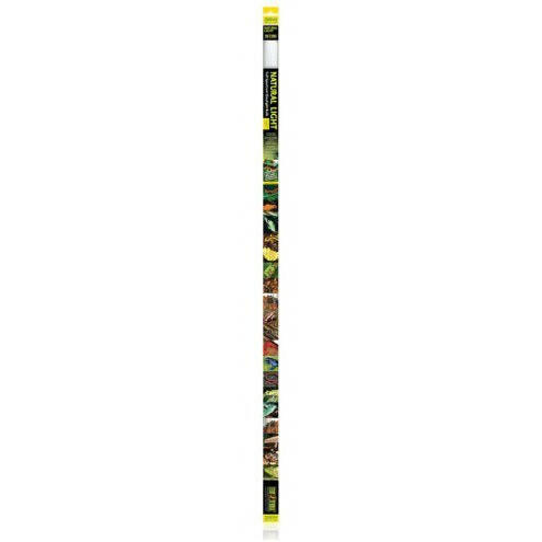 Exo Terra Natural Light Tube 38-40W 42in - Charterhouse Aquatics