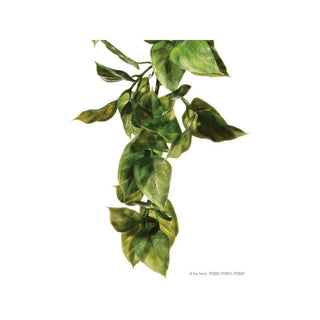Exo Terra Plastic Plant Amapallo Large - Charterhouse Aquatics