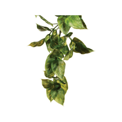 Exo Terra Plastic Plant Amapallo Medium - Charterhouse Aquatics