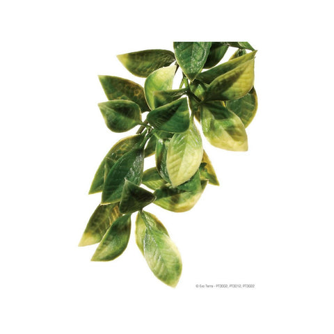 Exo Terra Plastic Plant Mandarin Large - Charterhouse Aquatics