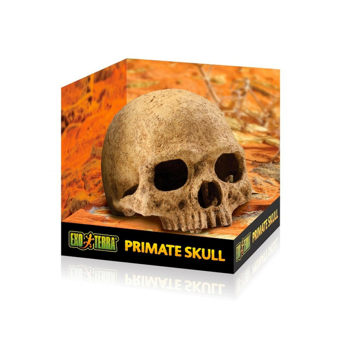 Exo Terra Primate Skull - Charterhouse Aquatics