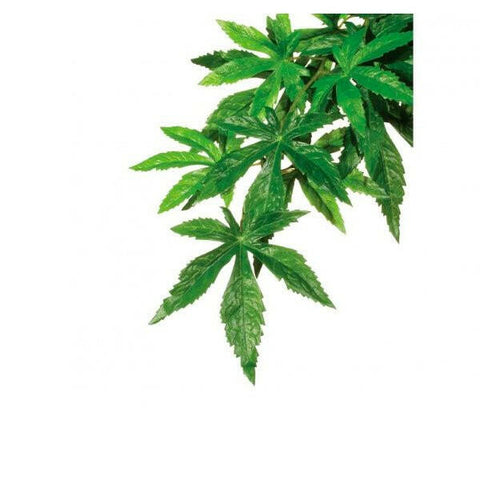 Exo Terra Silk Plant Abutilon Large - Charterhouse Aquatics