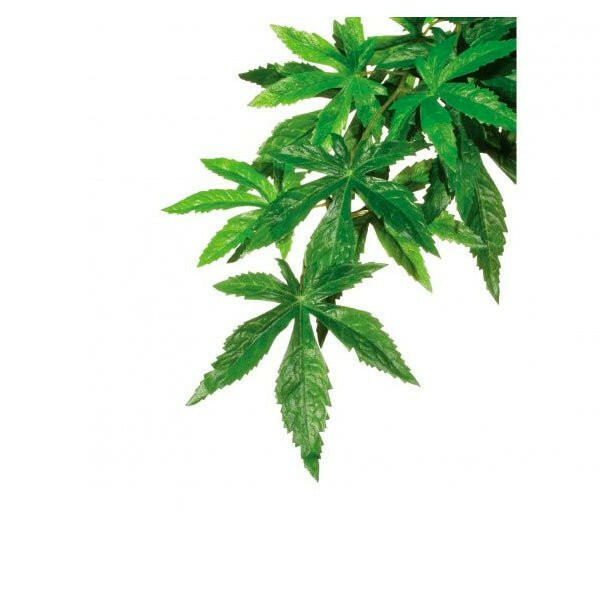Exo Terra Silk Plant Abutilon Large - Charterhouse Aquatics