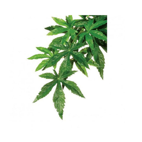 Exo Terra Silk Plant Abutilon Small - Charterhouse Aquatics