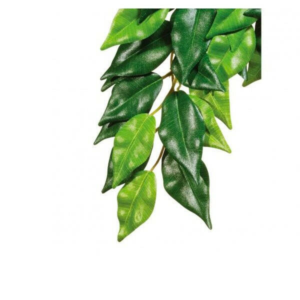 Exo Terra Silk Plant Ficus Large - Charterhouse Aquatics