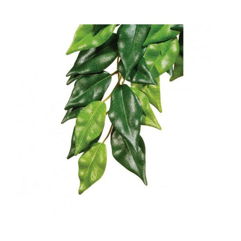Exo Terra Silk Plant Ficus Medium - Charterhouse Aquatics