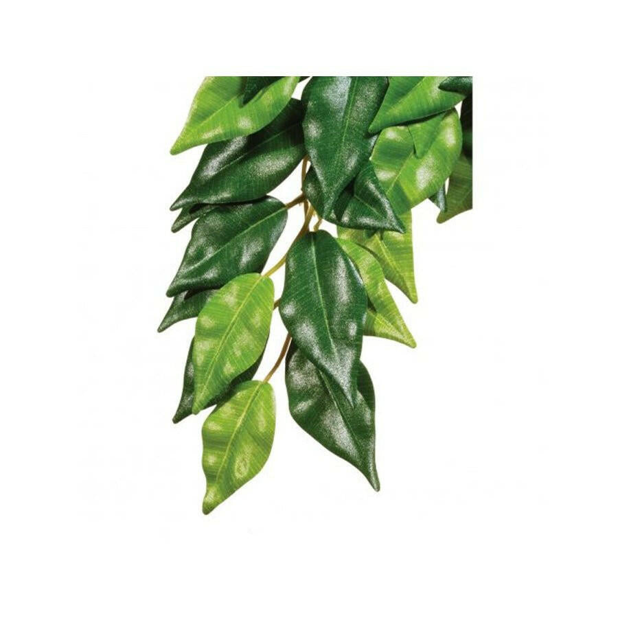 Exo Terra Silk Plant Ficus Small - Charterhouse Aquatics