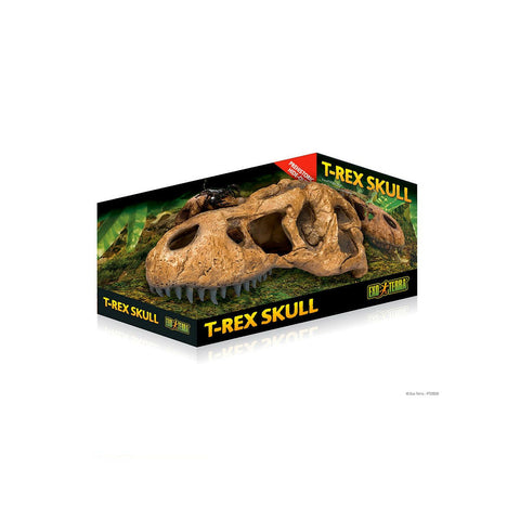 Exo Terra T Rex Skull - Charterhouse Aquatics
