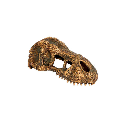 Exo Terra T-Rex Skull Small - Charterhouse Aquatics