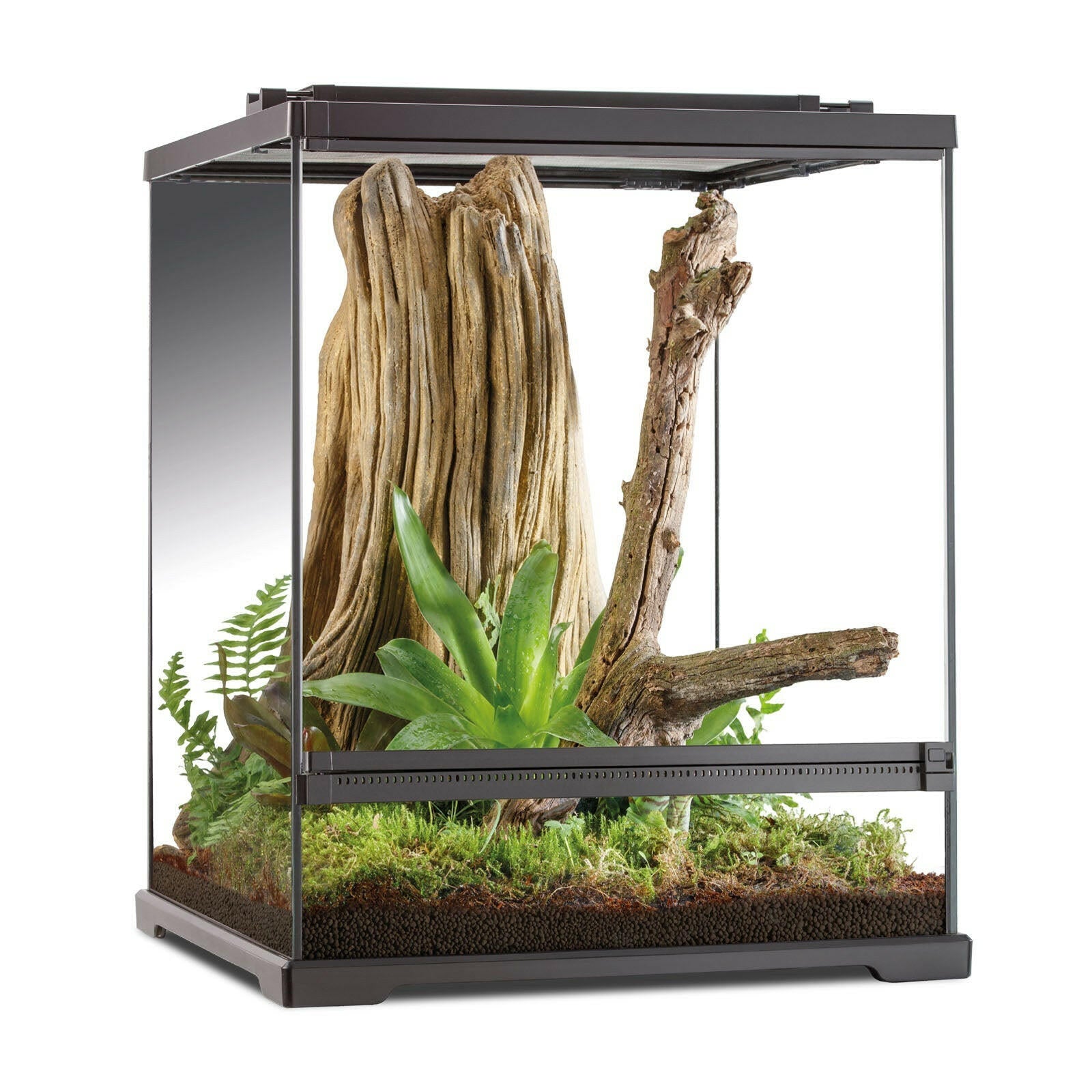 Exo Terra Tree Frog Terrarium 45x45x60cm - Charterhouse Aquatics