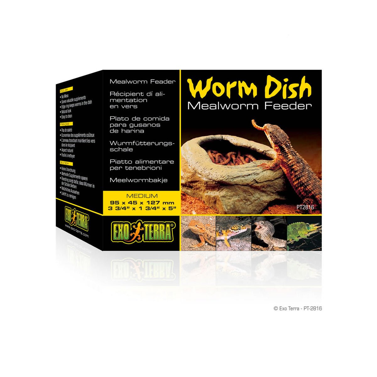 Exo Terra Worm Dish Mealworm Feeder - Charterhouse Aquatics