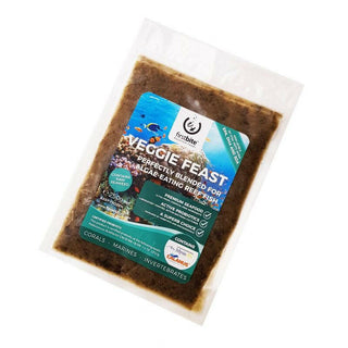First Bite Veggie Feast 250g - Charterhouse Aquatics