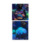 Flipper DeepSee Magnified Aquarium Viewer 4 Inch - Charterhouse Aquatics