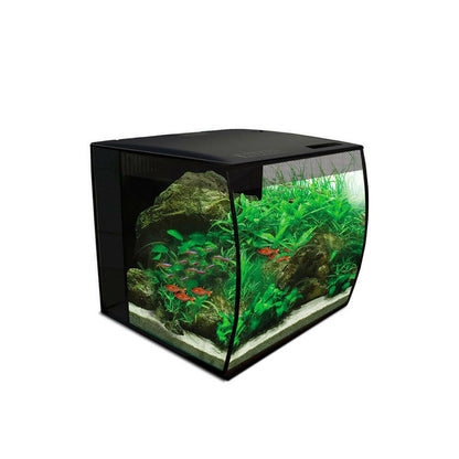 Fluval Flex Aquarium 34L (Black) - Charterhouse Aquatics