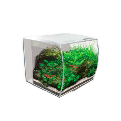 Fluval Flex Aquarium 34L (White) - Charterhouse Aquatics