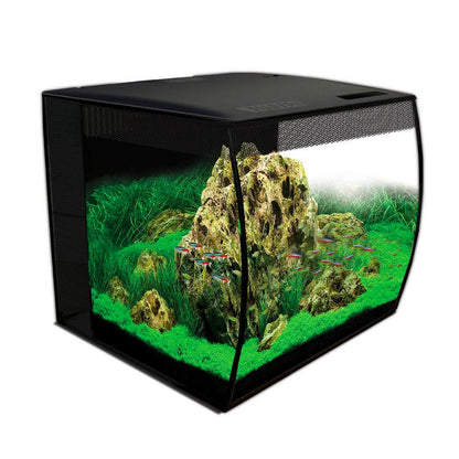 Fluval Flex Aquarium 57L (Black) - Charterhouse Aquatics