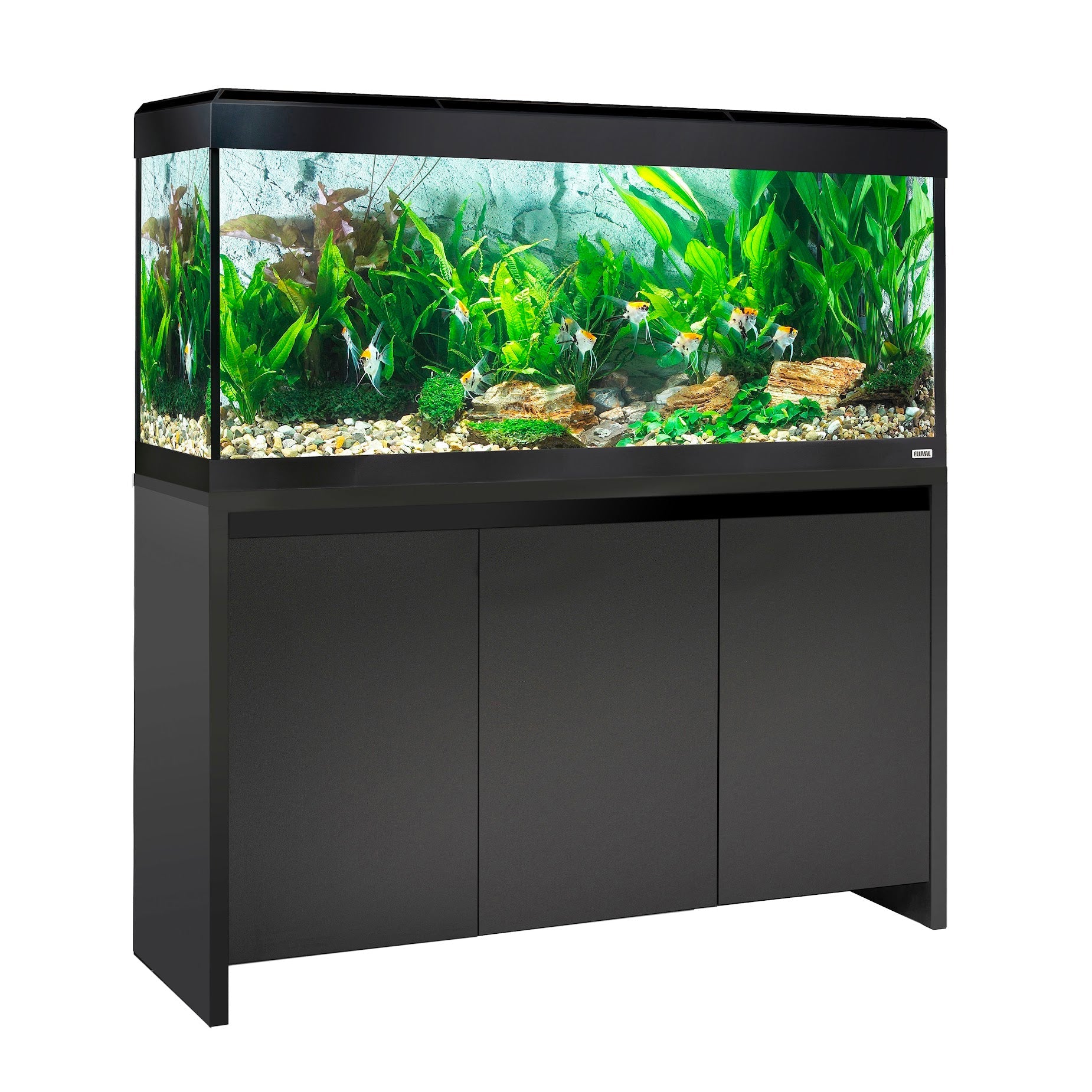 Fluval Roma Bluetooth LED 240 Aquarium and Cabinet - Black - Charterhouse Aquatics