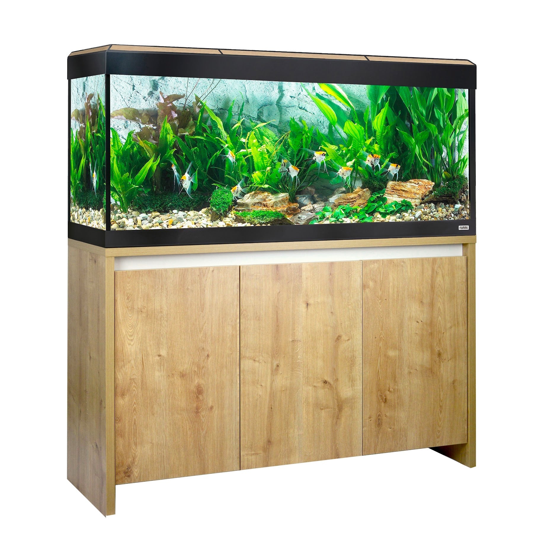Fluval Roma Bluetooth LED 240 Aquarium and Cabinet - Oak - Charterhouse Aquatics