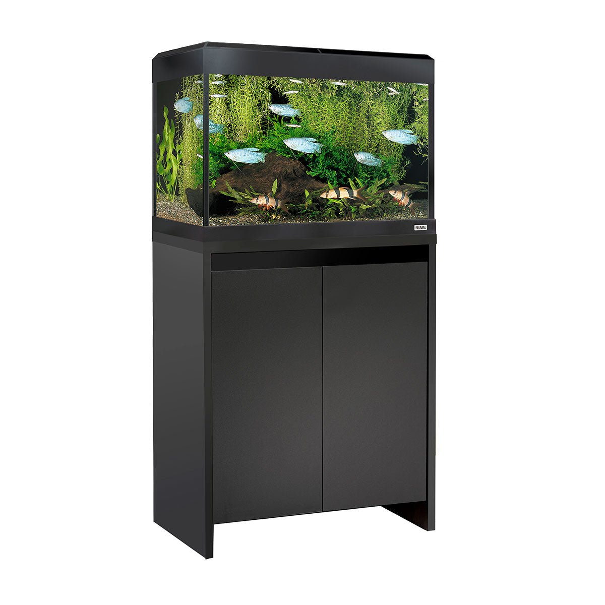 Fluval Roma Bluetooth LED 90 Aquarium and Cabinet - Black - Charterhouse Aquatics