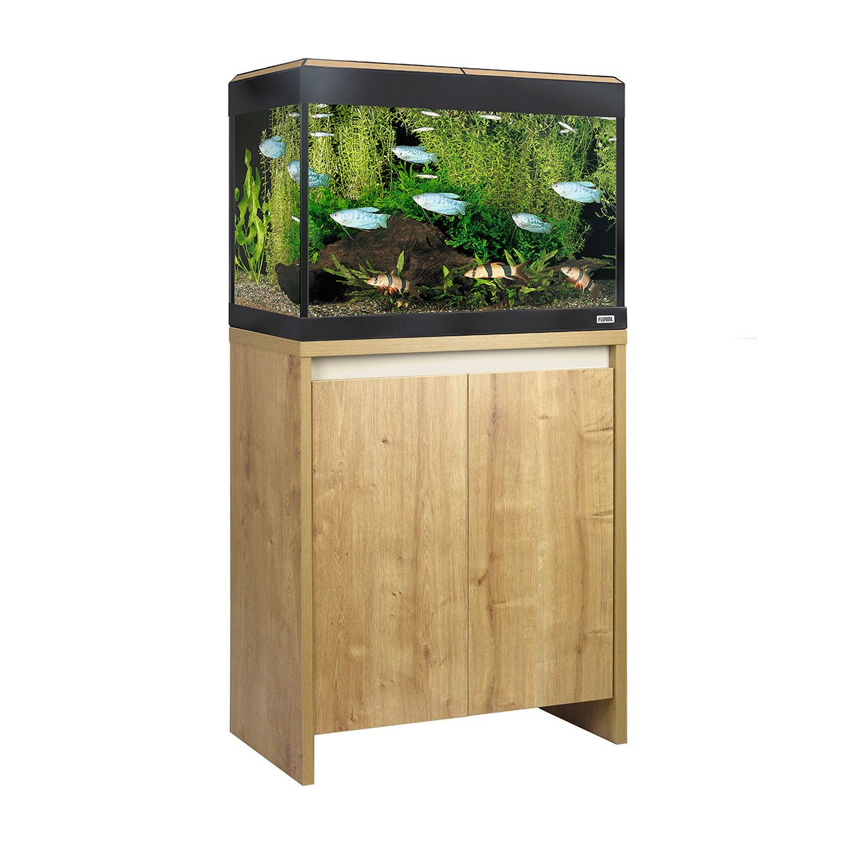Fluval Roma Bluetooth LED 90 Aquarium and Cabinet - Oak - Charterhouse Aquatics