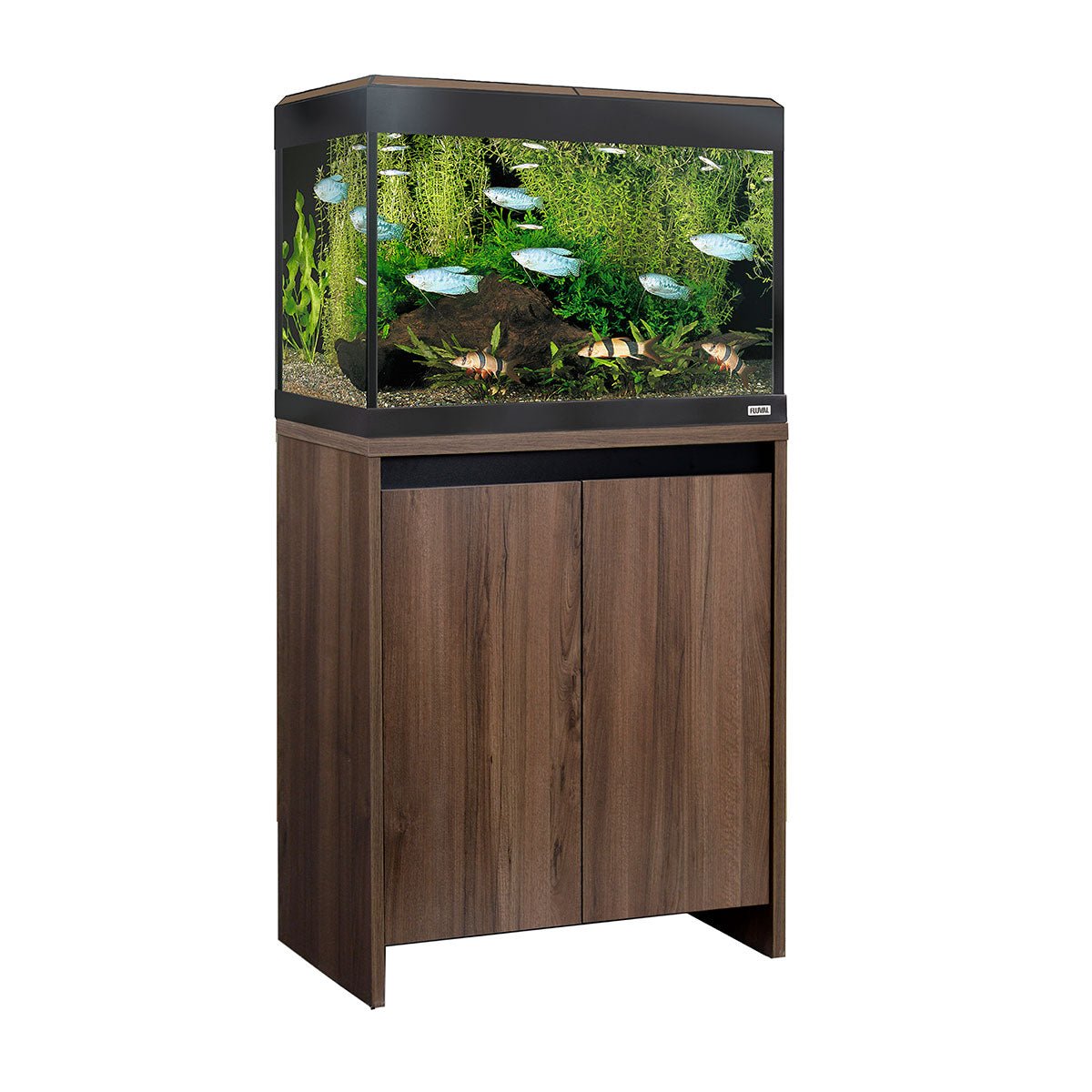 Fluval Roma Bluetooth LED 90 Aquarium and Cabinet - Walnut - Charterhouse Aquatics