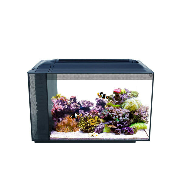 Fluval Sea EVO 52L Aquarium Kit