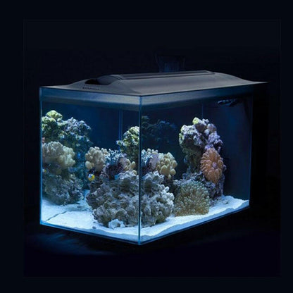 Fluval Sea EVO 52L Aquarium Kit - Charterhouse Aquatics