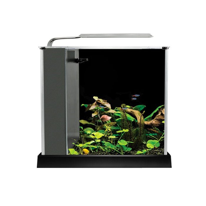 Fluval Spec 10 Litre Aquarium (Black) - Charterhouse Aquatics
