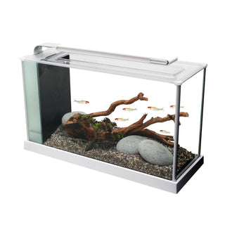 Fluval Spec 19 Litre Aquarium (White) - Charterhouse Aquatics