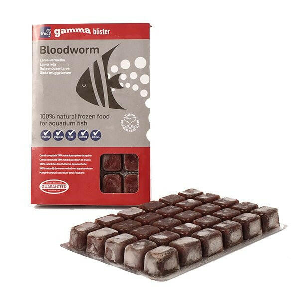 Gamma Bloodworm Blister Pack 100g - Charterhouse Aquatics