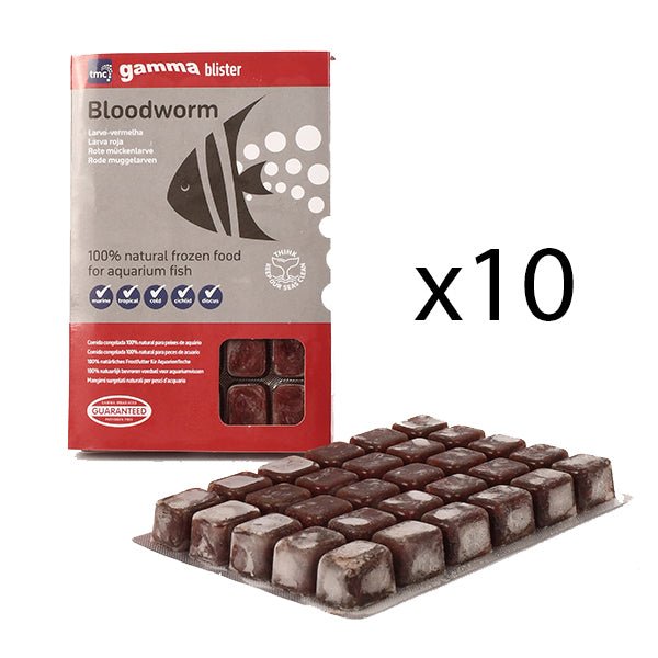 Gamma Bloodworm Multipack - 10 Blister Packs - Charterhouse Aquatics