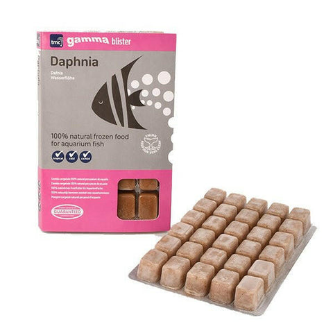 Gamma Daphnia Blister Pack 100g - Charterhouse Aquatics
