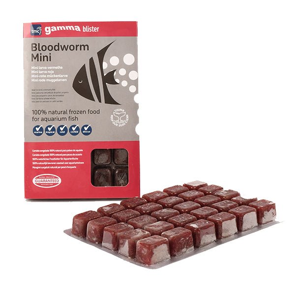 Gamma Mini Bloodworm Blister Pack 95g - Charterhouse Aquatics