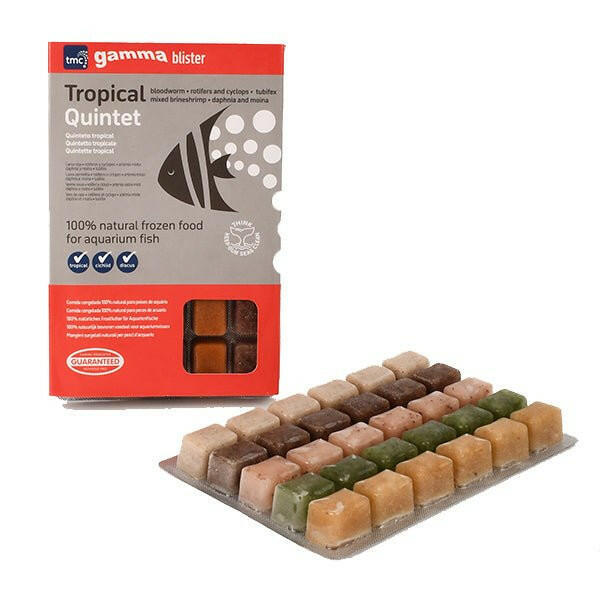 Gamma Tropical Quintet Blister Pack 100g - Charterhouse Aquatics